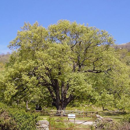 Casa Rural Romanejo Cabezabellosa Ngoại thất bức ảnh